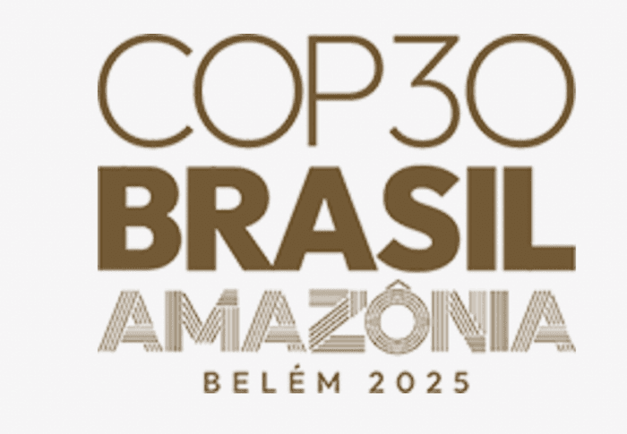 logo COP 30