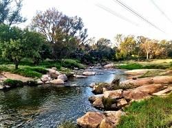 quartier, bons plans, résidents, johannesburg, craighall