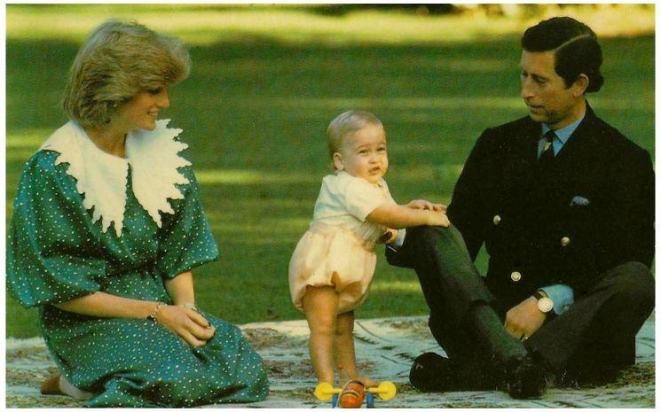 lady diana prince charles wiliam