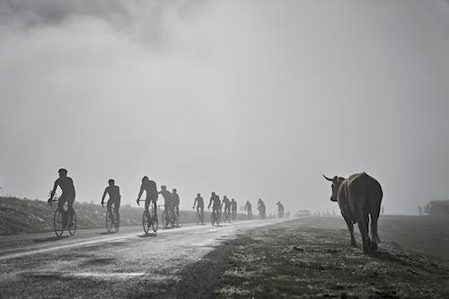 les coureurs de Cykerlnerven