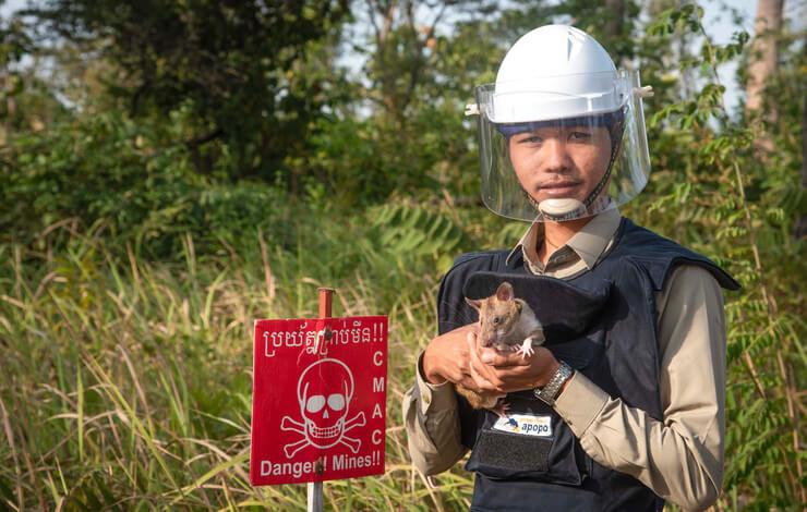demineur cambodgien avec un rat