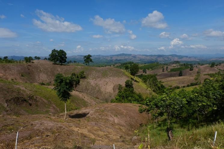 Désertification en Thailande, le monde entier est concerné