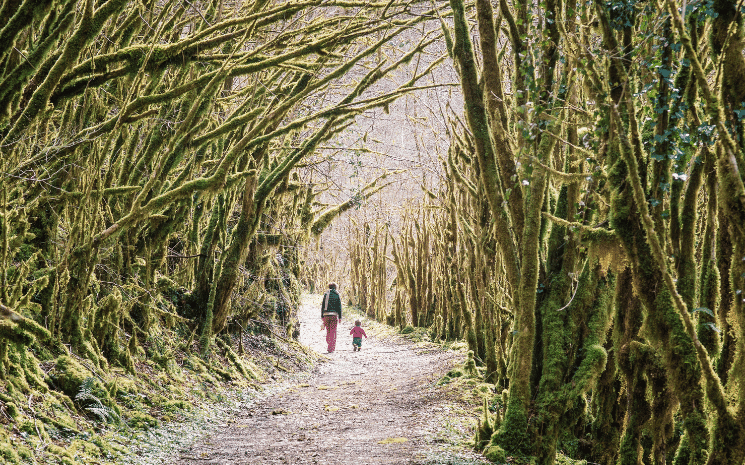 Dans les baronnies pyrénéennes, la gourgue d’Asque aussi appelée petite Amazonie