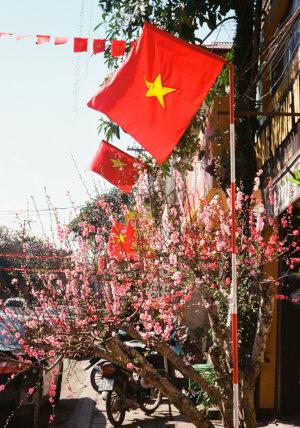 Drapeau du Vietnam : signification