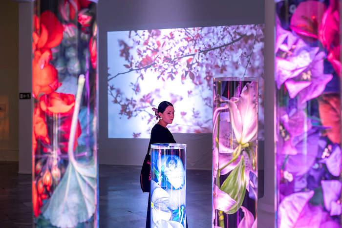 l'exposition dualidades del ser au centre del carme à valencia