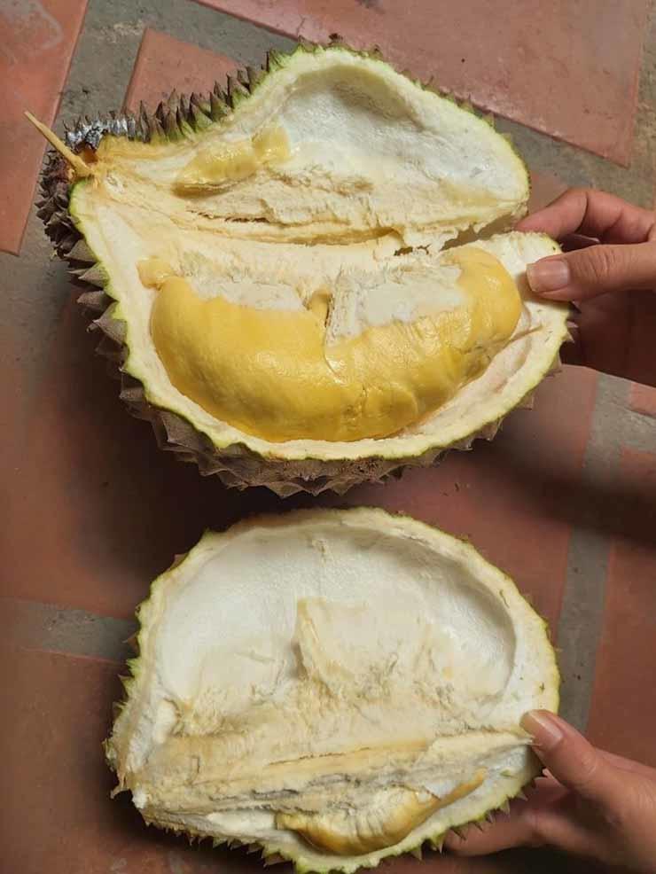 durian chair_small-700x933.jpg
