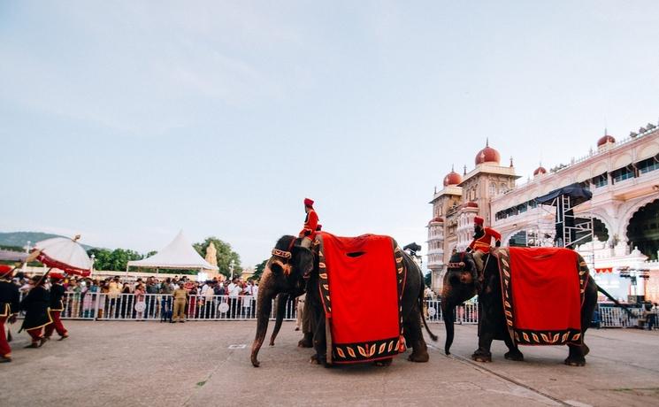 Dusserha Mysore elephants