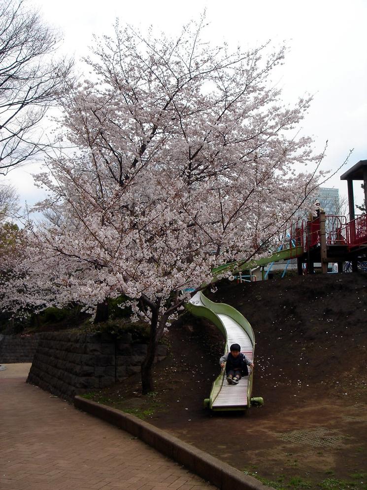 enfant enlevé au japon