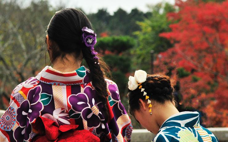 érables du japon tokyo