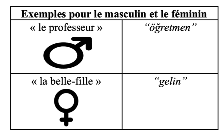 Exemples du masculin et du féminin en français (“le professeur”, “la belle-fille”) comparés au turc (“öğretmen”, “gelin”) pour illustrer le genre grammatical