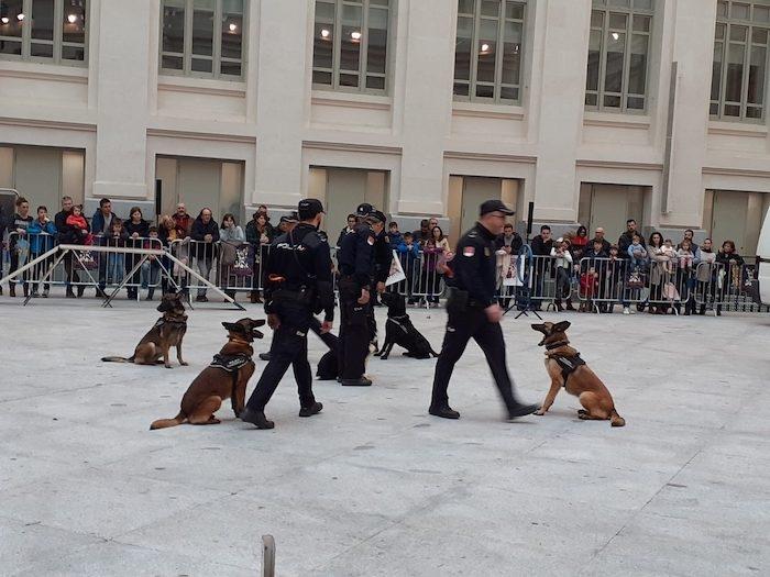 exhibition chiens policiers à madrid