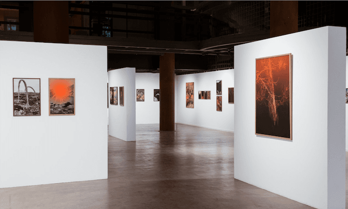 expo mythologie de Letizia le fur barcelone