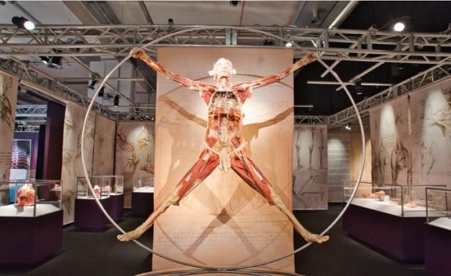 expo rome real bodies