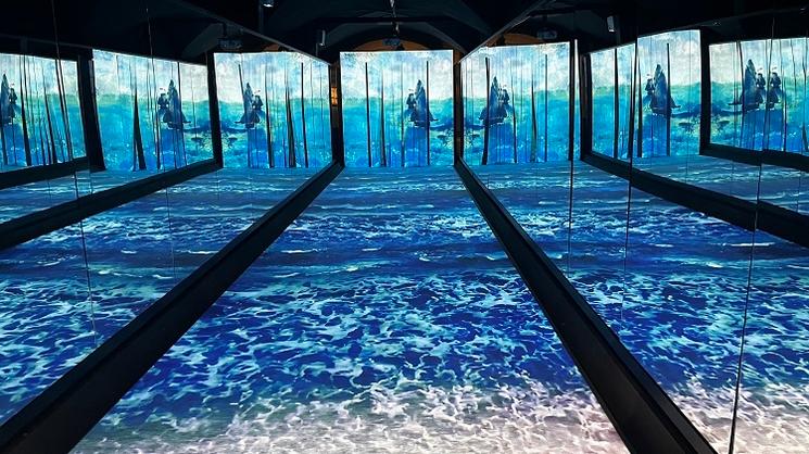 exposition immersive