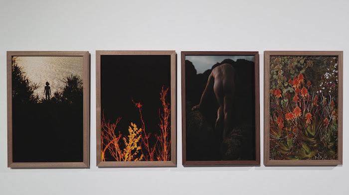 des tableaux de letizia le fur