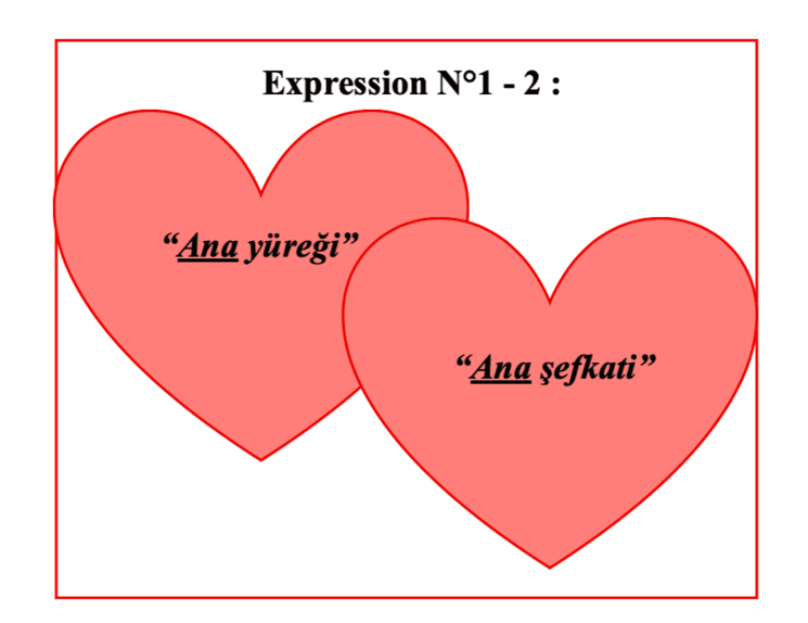 Expressions turques Ana yüreği Ana şefkati signification amour maternel Turquie