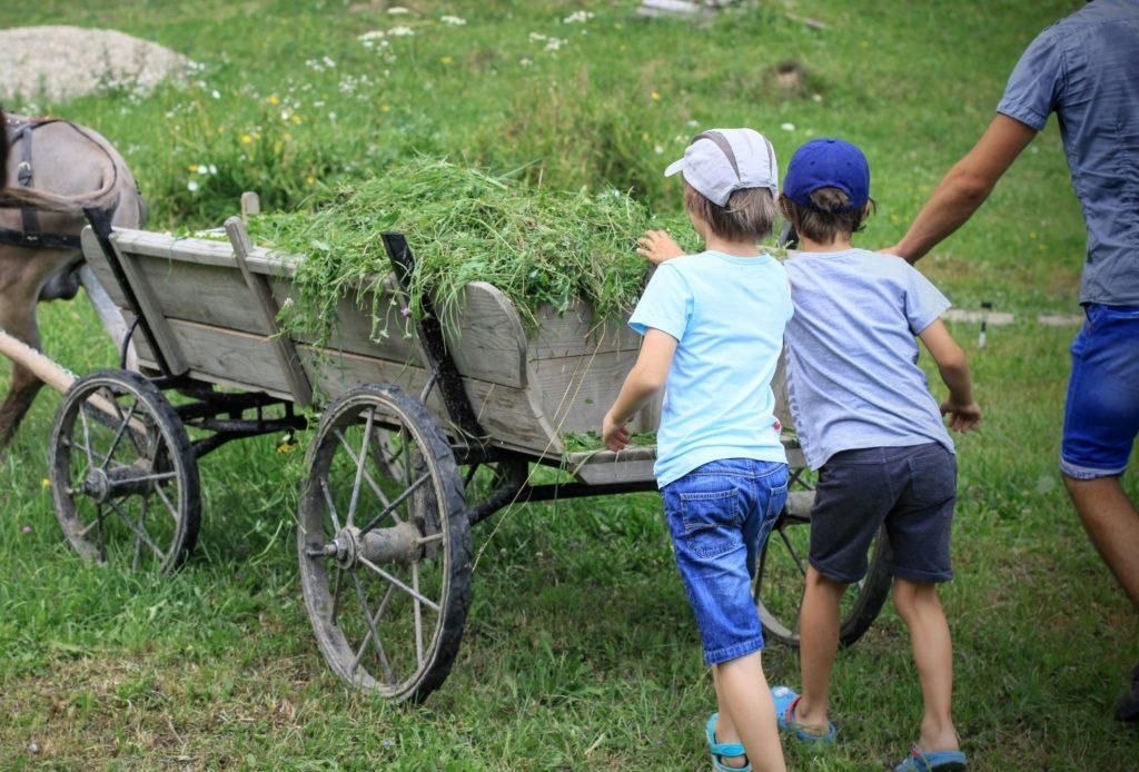 ferme-penteleu-visiter-roumanie