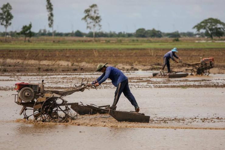 Ferme familiale dans le delta du mekong dans le sud du Vietnam