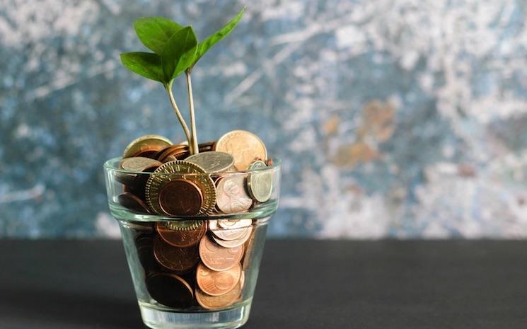 pot de fleur représentant des économies qui fructifient