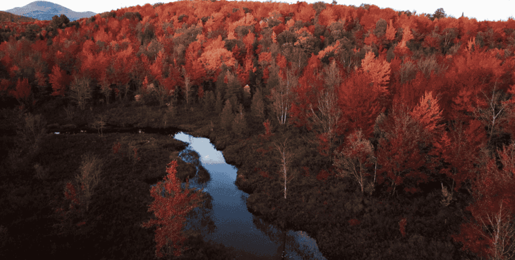 Crédits photos Atica