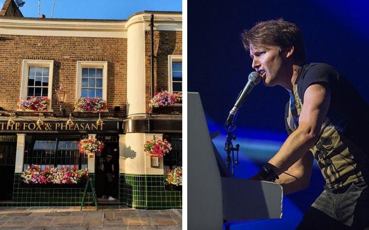 Fox and pheasant - James blunt