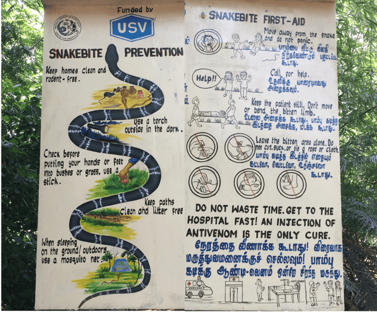 morsures serpents india inde