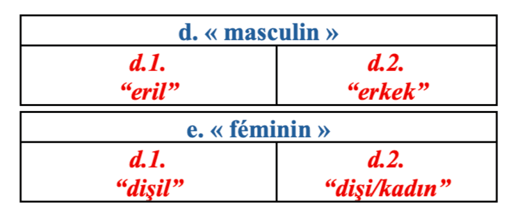 Tableau des équivalents du masculin et du féminin en turc (“eril”, “erkek”, “dişil”, “dişi/kadın”) pour expliquer le genre grammatical en français