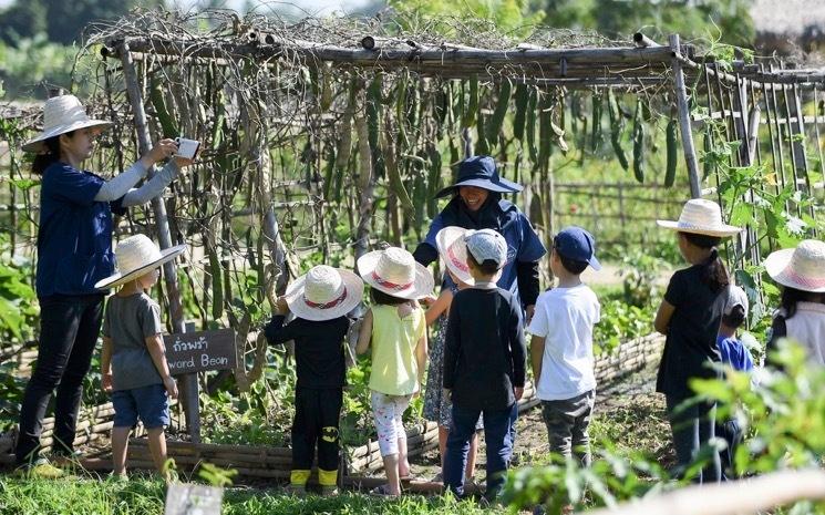 Sortie nature avec la Ginger farm de Chiang Mai