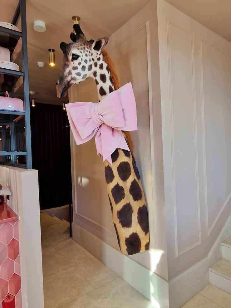 Buste de girafe à la maison d'Angleterre au Danemark