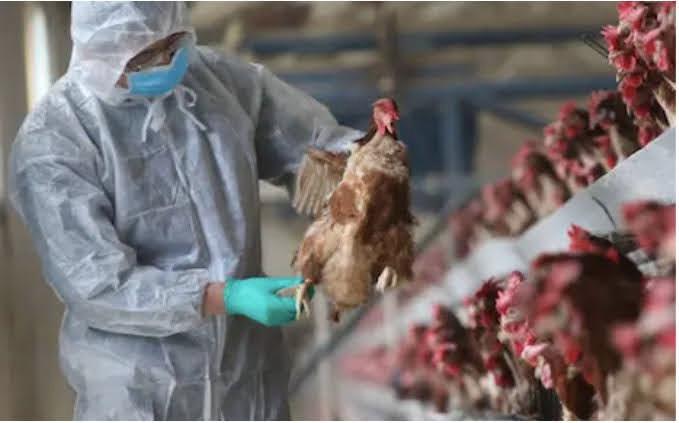 Actualités cambodgiennes de la semaine