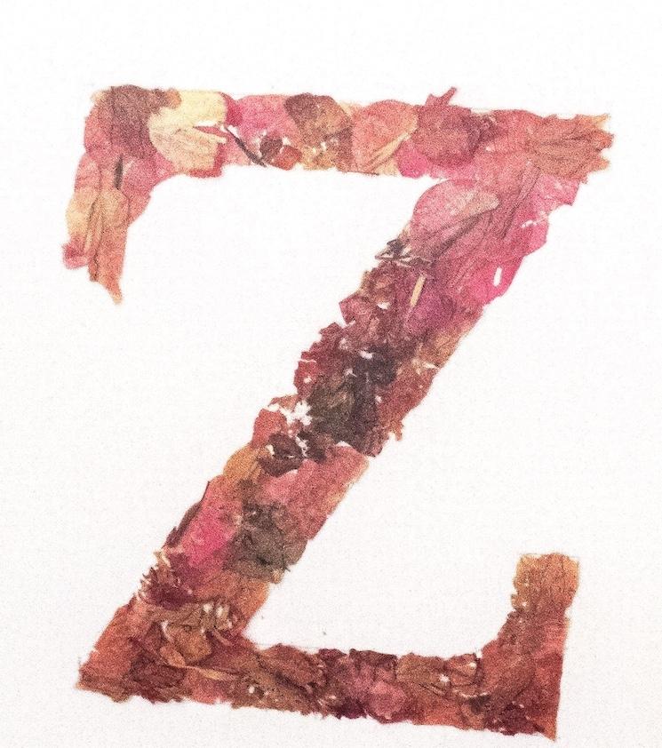 Lettre Z composée de fleurs séchées par Zerrin Gezer