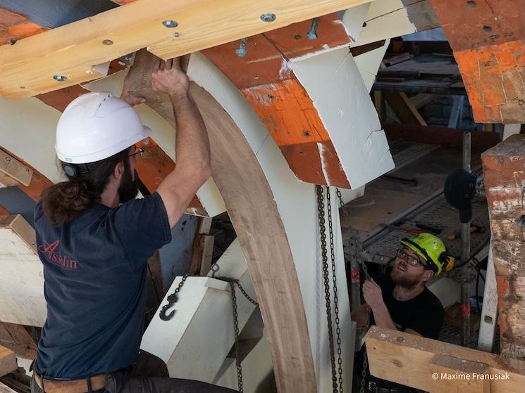 Hermione restauration