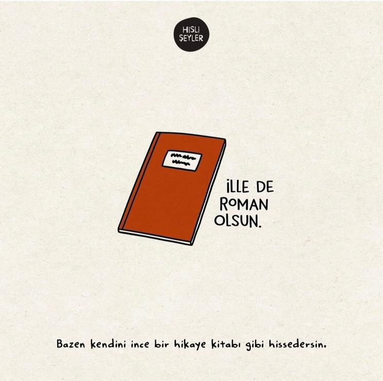 Illustration Hisli Şeyler : livre scolaire évoquant la norme du roman et les attentes culturelles dans l’éducation en Turquie