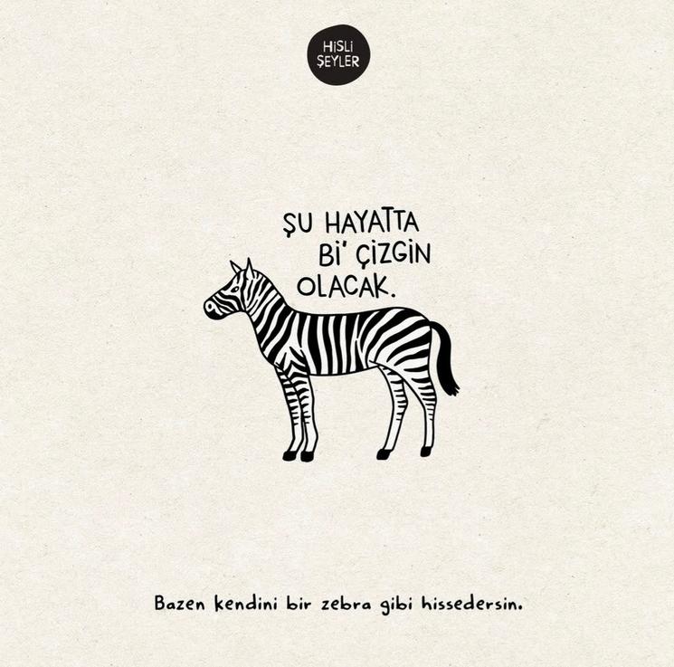 Illustration Hisli Şeyler : un zèbre symbolisant l’individualité et la construction de soi dans le système éducatif turc