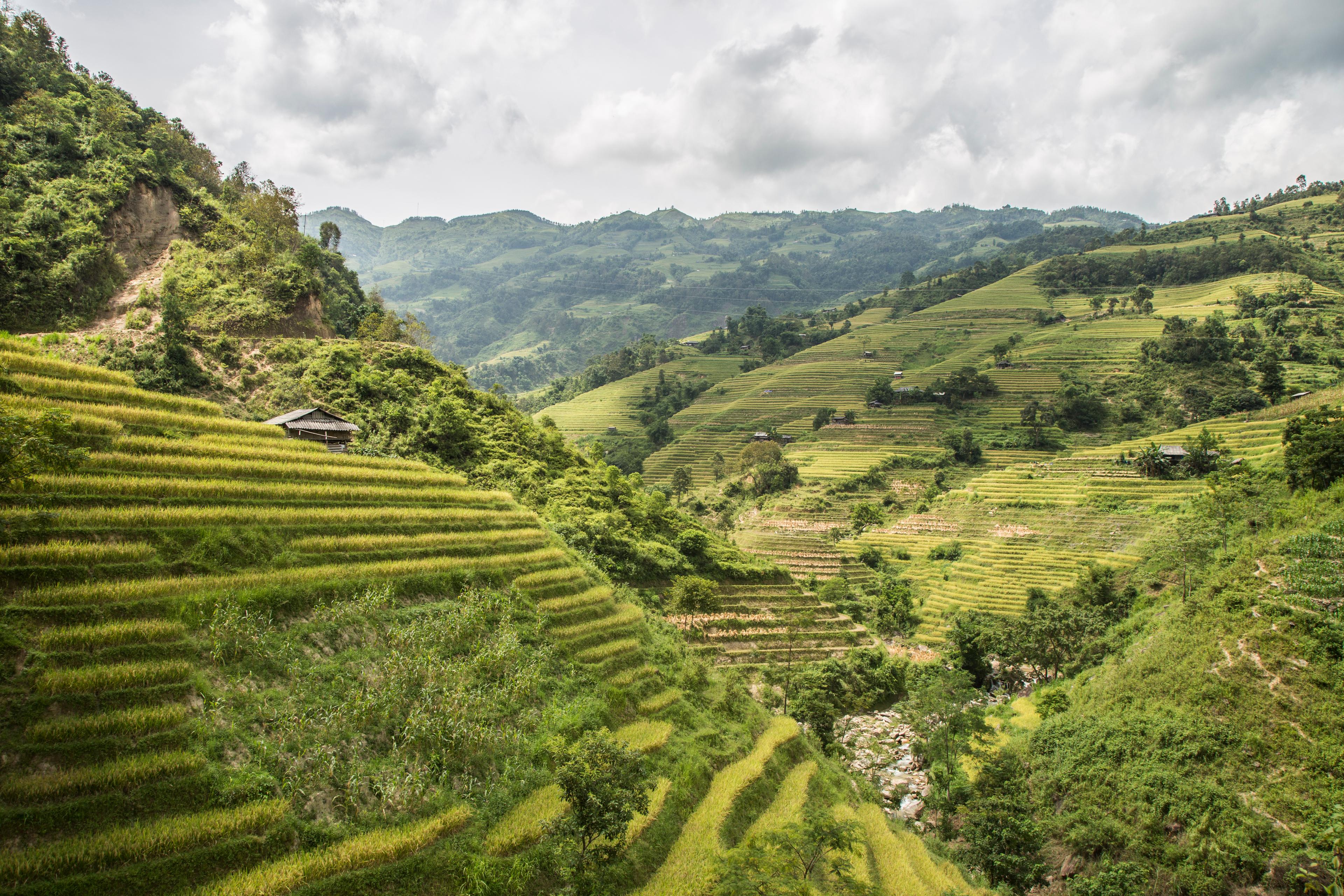 world wild brice blog voyages