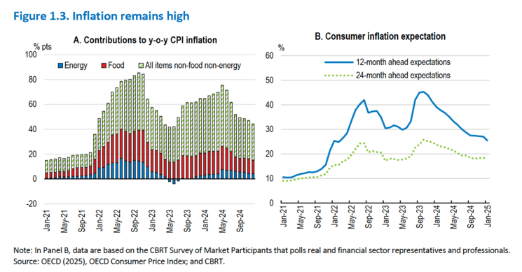 Graphique sur la composition de l’inflation en Turquie et les anticipations des consommateurs en 2024