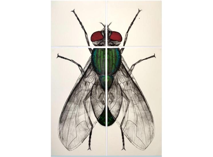 insectum chaharazed feki le violon bleu tableau.jpg