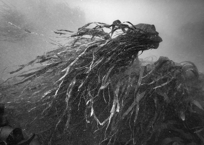 photographie en noir et blanc de Nicolas Floc’h