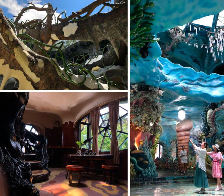 Intérieur et extérieur de cette maison folle : l'une des attractions touristiques de Dalat