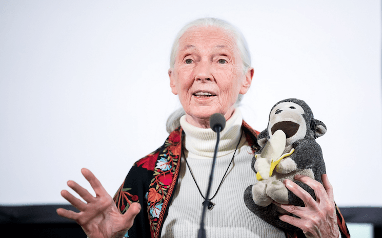 Jane Goodall - Conférence