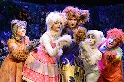Jardin des 11 chats - theatro tou paidiou
