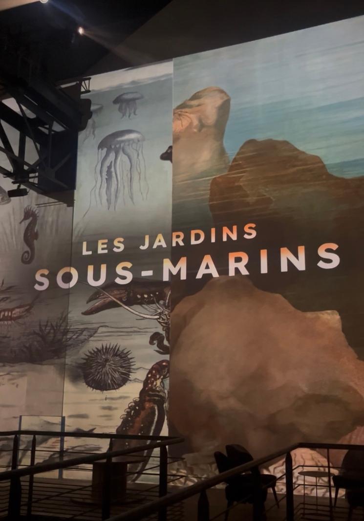 Projection à l'Atelier des Lumières