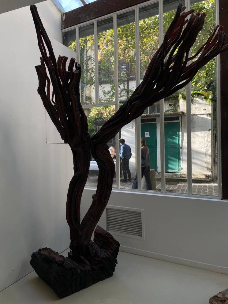 L'Exposition l'Ordre des choses