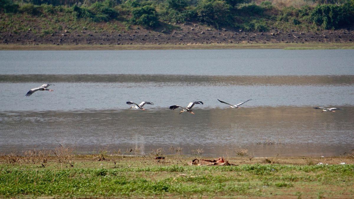 Lac et pleine nature dans le Tamil Nadu