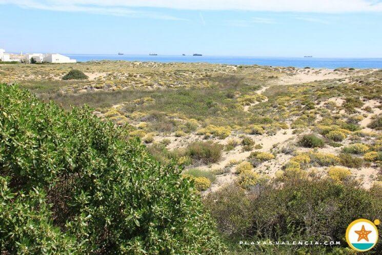 la plage a été menacée par les tempêtes de 2017