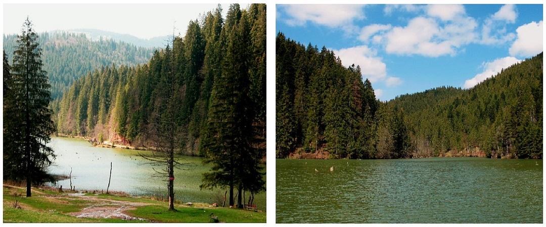 lac-rouge-bicaz-roumanie