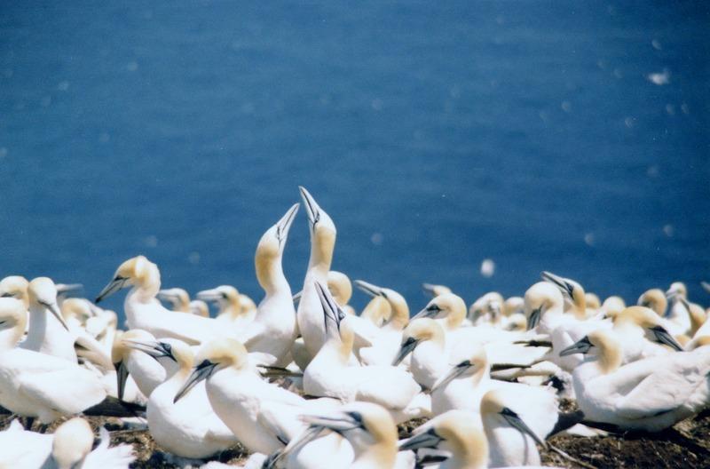 endroits à visiter canada