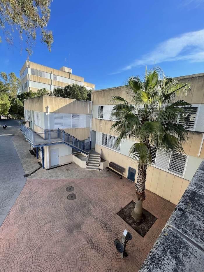 des batiments du lycée français de Valence avec un palmier et le ciel bleu