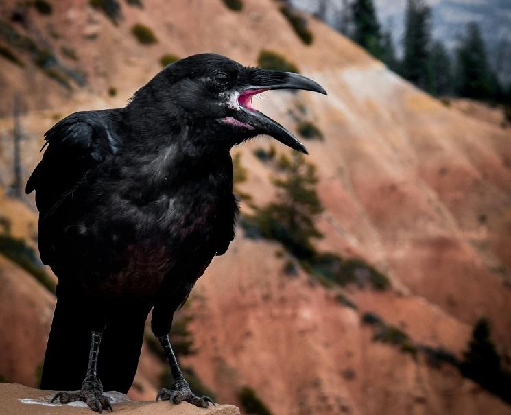 marché travail france espagne