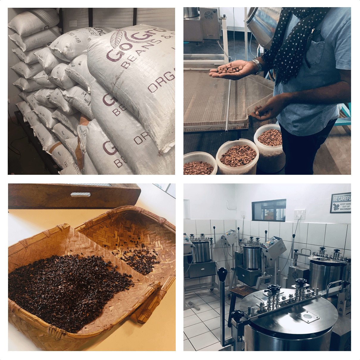 santha franc mason chocolate india auroville